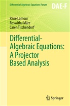 LAMOU, Ren Lamour, René Lamour, Mär, Roswith März, Roswitha März... - Differential-Algebraic Equations: A Projector Based Analysis