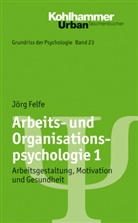 Jörg Felfe, Bern Leplow, Maria vo Salisch, Bern Leplow, Bernd Leplow, Maria von Salisch... - Arbeits- und Organisationspsychologie. Bd.1