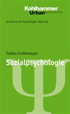Tobi Greitemeyer, Tobias Greitemeyer, Bern Leplow, Maria vo Salisch, Bern Leplow, Bernd Leplow... - Sozialpsychologie