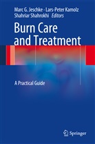 Marc G. Jeschke, Lars-Pete Kamolz, Lars-Peter Kamolz, Shahriar Shahrokhi - Burn Care and Treatment
