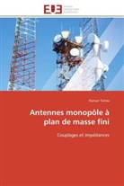 Razvan Tamas, Tamas-r - Antennes monopole a plan de masse