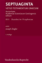 Joseph Ziegler - Septuaginta - 13: Septuaginta. Vetus Testamentum Graecum. Auctoritate Academiae Scietiarum... / Septuaginta. Band 13