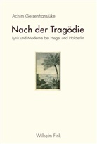 Achim Geisenhanslüke, Achim Geisenhanslueke, Achim Geisenhanslüke - Nach der Tragödie