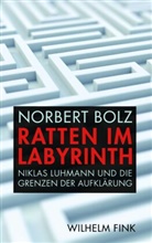 Norbert Bolz, Norbert Bolz - Ratten im Labyrinth