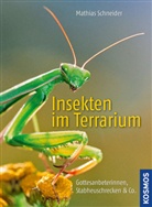 Mathias Schneider, Matthias Schneider - Insekten im Terrarium