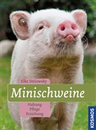 Elke Striowsky - Minischweine