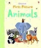 Felicity Brooks, Jo Litchfield - First Picture Animals