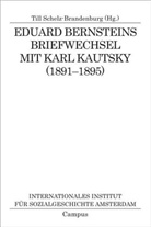 Eduard Bernstein, Karl Kautsky, Till Schelz-Brandenburg, Till Schelz-Brandenburg - Eduard Bernsteins Briefwechsel mit Karl Kautsky (1891-1895)