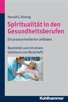 Harold A Koenig, Harold G Koenig, Harold G. Koenig, Templeto Foundation Inc, Templeton Foundation Inc - Spiritualität in den Gesundheitsberufen