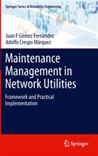 Adolfo Crespo M. Rquez, Adolfo Crespo Marquez, Adolfo Crespo Márquez, Juan F. G. Mez Fern Ndez, Juan Gómez Fernández, Juan F Gómez Fernández... - Maintenance Management in Network Utilities