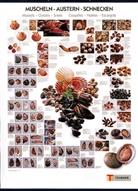 Muscheln, Austern, Schnecken, Poster