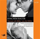 Joachim Bauer, Armin Hauser - Warum ich fühle, was du fühlst, 4 Audio-CD (Hörbuch)