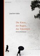 Joachim Kalka - Die Katze, der Regen, das Totenreich