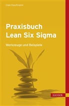 Uwe H Kaufmann, Uwe H. Kaufmann - Praxisbuch Lean Six Sigma, m. CD-ROM