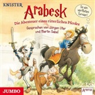 Knister, KNISTER, Martin Sabel, Jürgen Uter - Arabesk - So ein verflixtes Turnier, 1 Audio-CD (Livre audio)