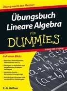 E G Haffner, E -G Haffner, E. -G. Haffner, E.-G. Haffner, E-G Haffner - Übungsbuch Lineare Algebra für Dummies