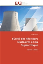 Aziz Abdellahi, Abdellahi-A - Surete des reacteurs nucleaires a
