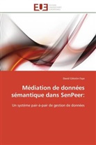 David Célestin Faye, Faye-D - Mediation de donnees semantique