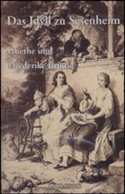 Johann Wolfgang von Goethe - Das Idyll zu Sesenheim, 1 Cassette