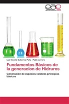 Pablo carrero, Luis Vicent Gutierrez Peña, Luis Vicente Gutierrez Peña - Fundamentos Básicos de la generacion de Hidruros