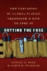 James K. Feldman, James K. Pape Feldman, Feldman James K., Robert A. Pape, Robert A. Feldman Pape, Robert A./ Feldman Pape... - Cutting the Fuse