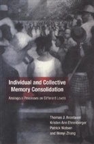 Thomas J Anastasio, Thomas J. Anastasio, Thomas J. (University of Illinois) Anastasio, Thomas J. (University of Illinois) Ehre Anastasio, Thomas J. Ehrenberger Anastasio, Thomas J./ Ehrenberger Anastasio... - Individual and Collective Memory Consolidation