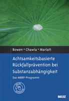 Sara Bowen, Sarah Bowen, Neh Chawla, Neha Chawla, Johannes Lindenmeyer, G Alan Marlatt... - Achtsamkeitsbasierte Rückfallprävention bei Substanzabhängigkeit