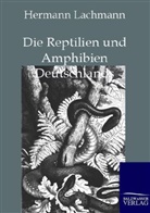 Hermann Lachmann - Die Reptilien und Amphibien Deutschlands
