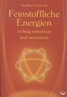 Siegfried Grabowski - Feinstoffliche Energien richtig einsetzen und umsetzen