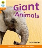Monica Hughes, Roderick Hunt, Claire Llewellyn, Claire Hughes Llewellyn, Claire Hunt Llewellyn, LLEWELLYN CLAIRE HUGHES MONICA P... - Oxford Reading Tree: Level 6: Floppy s Phonics Non Fiction: Giant