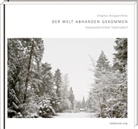 Siegmar Brüggenthies, Siegmar Brüggenthies - Der Welt abhanden gekommen