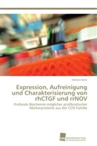 Wilhelm Bohr - Expression, Aufreinigung und Charakterisierung von rhCTGF und rrNOV