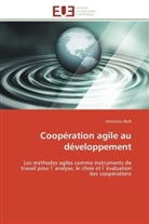 Amouzou Bedi, Bedi-A - Cooperation agile au developpement