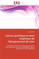Haykel Elabidi, Elabidi-h - Calculs quantique et semi