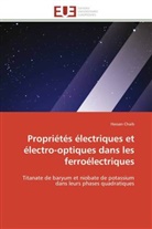 Hassan Chaib, Chaib-H - Proprietes electriques et electro