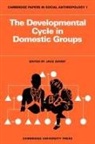 Goody, Jack Goody, Jack Goody - The Developmental Cycle in Domestic Groups
