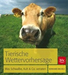 Bernhard Michels - Tierische Wettervorhersage