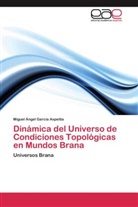 Miguel Ángel García Aspeitia - Dinámica del Universo de Condiciones Topológicas en Mundos Brana
