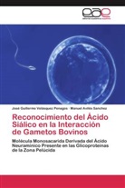 Avilés Sanchez, Manuel Avilés Sanchez, José Guillerm Velásquez Penagos, José Guillermo Velásquez Penagos - Reconocimiento del Ácido Siálico en la Interacción de Gametos Bovinos