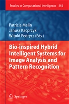 Patrici Melin, Patricia Melin, Pedrycz, Pedrycz, Witold Pedrycz - Bio-Inspired Hybrid Intelligent Systems for Image Analysis and Pattern Recognition
