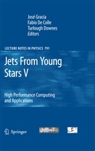 Fabio Colle, Fabio de Colle, Fabi de Colle, Fabio de Colle, Turlough Downes, José Gracia - Jets From Young Stars V