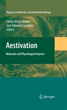 Carlo Arturo Navas, Carlos Arturo Navas, José Eduardo Carvalho, Eduardo Carvalho, Eduardo Carvalho - Aestivation