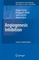Wolfgang E. Berdel, Wolfgan E Berdel, Wolfgang E Berdel, Torsten Kessler, Rüdiger Liersch - Angiogenesis Inhibition