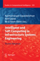 Nii O. Attoh-Okine, Hali Ceylan, Halil Ceylan, Kasthurirangan Gopalakrishnan, Nii O Attoh-Okine - Intelligent and Soft Computing in Infrastructure Systems Engineering