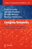 Sant Fortunato, Santo Fortunato, Giuseppe Mangioni, Giuseppe Mangioni et al, Ronaldo Menezes, Vincenzo Nicosia - Complex Networks