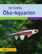 Kai A. Quante, Kai Alexander Quante - Öko-Aquarien