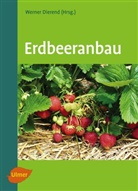 Prof Dr Werne Dierend, Prof Dr Werner Dierend, Prof. Dr. Werner Dierend, Werner Dierend, Ral Jung, Ralf Jung... - Erdbeeranbau