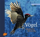 Varesvuo, Markus Varesvuo - Vögel - Magische Momente
