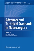Neja Akalan, Nejat Akalan, Vladimir Benes, Vladimir Benes et al, Concezio Di Rocco, Vinko V. Dolenc... - Advances and Technical Standards in Neurosurgery - Vol.35: Low-Grade Gliomas