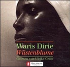Waris Dirie, Cathleen Miller - Wüstenblume, 2 Audio-CDs (Audio book)